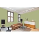 Auro Profi-Lehmfarbe 535 - Colours for life - apple green 10