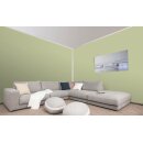 Auro Profi-Lehmfarbe 535 - Colours for life - apple green 15