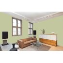 Auro Profi-Lehmfarbe 535 - Colours for life - apple green 15
