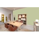 Auro Profi-Lehmfarbe 535 - Colours for life - apple green 15