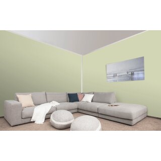 Auro Profi-Lehmfarbe 535 - Colours for life - apple green 20