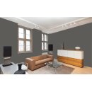 Auro Profi-Lehmfarbe 535 - Colours for life - asphalt grey