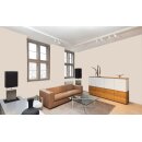 Auro Profi-Lehmfarbe 535 - Colours for life - beige brown 25
