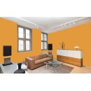 Auro Profi-Lehmfarbe 535 - Colours for life - bitter orange