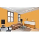 Auro Profi-Lehmfarbe 535 - Colours for life - bitter orange 05