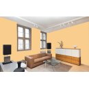 Auro Profi-Lehmfarbe 535 - Colours for life - bitter orange 15