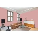 Auro Profi-Lehmfarbe 535 - Colours for life - blossom pink 05