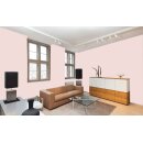 Auro Profi-Lehmfarbe 535 - Colours for life - blossom pink 20