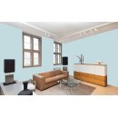 Auro Profi-Lehmfarbe 535 - Colours for life - blue blossom 20