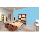 Auro Profi-Lehmfarbe 535 - Colours for life - blue lagoon 10