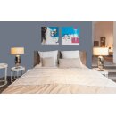 Auro Profi-Lehmfarbe 535 - Colours for life - bluish grey 05