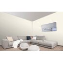 Auro Profi-Lehmfarbe 535 - Colours for life - bright almond