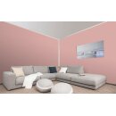 Auro Profi-Lehmfarbe 535 - Colours for life - bright chestnut 20