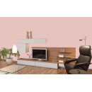 Auro Profi-Lehmfarbe 535 - Colours for life - bright chestnut 25