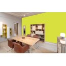 Auro Profi-Lehmfarbe 535 - Colours for life - bright green