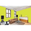 Auro Profi-Lehmfarbe 535 - Colours for life - bright green