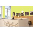 Auro Profi-Lehmfarbe 535 - Colours for life - bright green 10