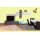 Auro Profi-Lehmfarbe 535 - Colours for life - bright green 20