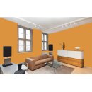 Auro Profi-Lehmfarbe 535 - Colours for life - bright mandarine