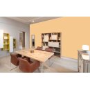Auro Profi-Lehmfarbe 535 - Colours for life - bright mandarine 15