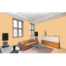 Auro Profi-Lehmfarbe 535 - Colours for life - bright mandarine 15