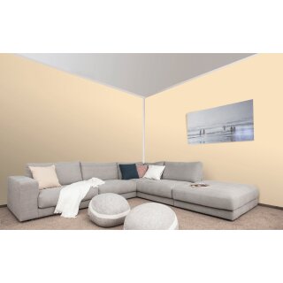 Auro Profi-Lehmfarbe 535 - Colours for life - bright mandarine 25