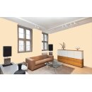 Auro Profi-Lehmfarbe 535 - Colours for life - bright mandarine 25