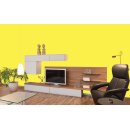 Auro Profi-Lehmfarbe 535 - Colours for life - brilliant yellow 05