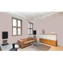 Auro Profi-Lehmfarbe 535 - Colours for life - cacao brown 20