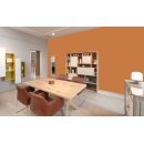 Auro Profi-Lehmfarbe 535 - Colours for life - dark mandarine
