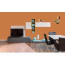 Auro Profi-Lehmfarbe 535 - Colours for life - dark mandarine