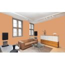 Auro Profi-Lehmfarbe 535 - Colours for life - dark mandarine 10