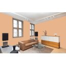 Auro Profi-Lehmfarbe 535 - Colours for life - dark mandarine 15