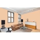 Auro Profi-Lehmfarbe 535 - Colours for life - dark mandarine 20