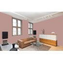 Auro Profi-Lehmfarbe 535 - Colours for life - deep hazelnut 15
