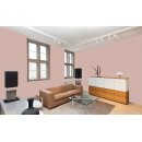 Auro Profi-Lehmfarbe 535 - Colours for life - deep hazelnut 20