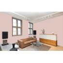 Auro Profi-Lehmfarbe 535 - Colours for life - deep hazelnut 25