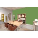 Auro Profi-Lehmfarbe 535 - Colours for life - fern