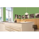 Auro Profi-Lehmfarbe 535 - Colours for life - fern 05
