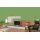 Auro Profi-Lehmfarbe 535 - Colours for life - fern 05