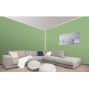 Auro Profi-Lehmfarbe 535 - Colours for life - fern 10