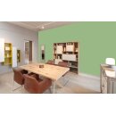 Auro Profi-Lehmfarbe 535 - Colours for life - fern 10