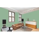 Auro Profi-Lehmfarbe 535 - Colours for life - forest green 10
