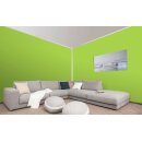 Auro Profi-Lehmfarbe 535 - Colours for life - frog green