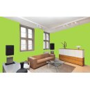 Auro Profi-Lehmfarbe 535 - Colours for life - frog green