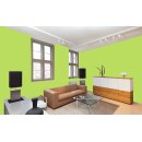 Auro Profi-Lehmfarbe 535 - Colours for life - frog green 05