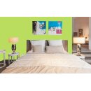 Auro Profi-Lehmfarbe 535 - Colours for life - frog green 05