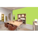 Auro Profi-Lehmfarbe 535 - Colours for life - frog green 05