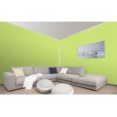Auro Profi-Lehmfarbe 535 - Colours for life - frog green 10