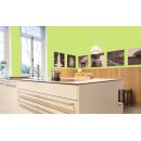 Auro Profi-Lehmfarbe 535 - Colours for life - frog green 10